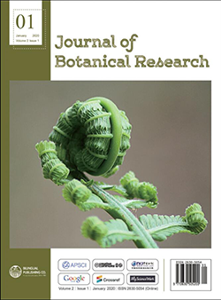 										View Vol. 2 ,  Iss. 1 (January 2020)
									