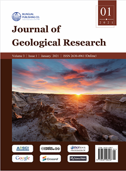 										View Vol. 3 ,  Iss. 1 (January 2021)
									